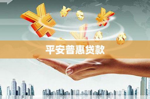 富民平安普惠贷款