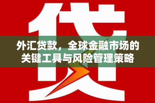 富民外汇贷款，全球金融市场的关键工具与风险管理策略