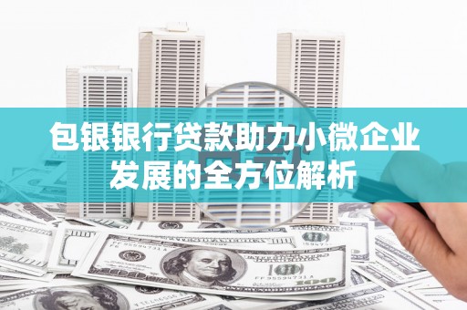 富民包银银行贷款助力小微企业发展的全方位解析