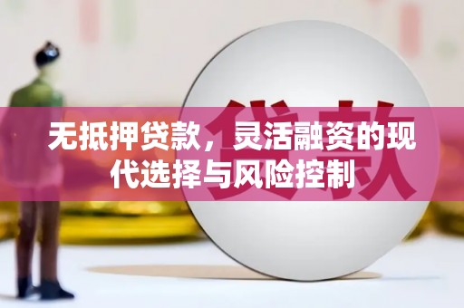 富民无抵押贷款，灵活融资的现代选择与风险控制