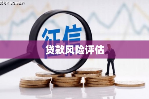 富民贷款风险评估