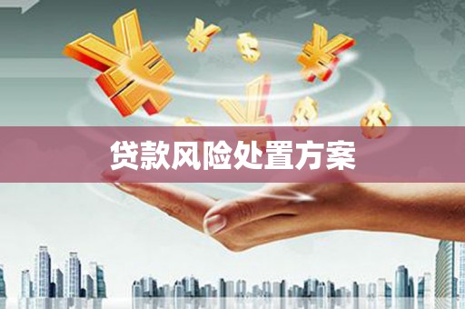 富民贷款风险处置方案