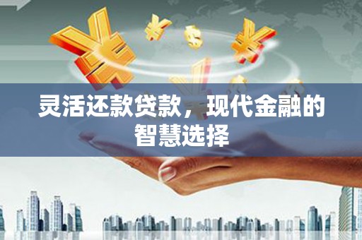 富民灵活还款贷款，现代金融的智慧选择