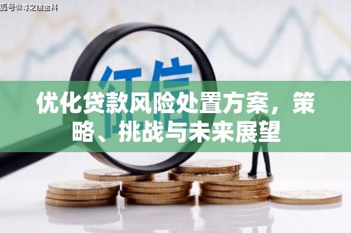 富民优化贷款风险处置方案，策略、挑战与未来展望