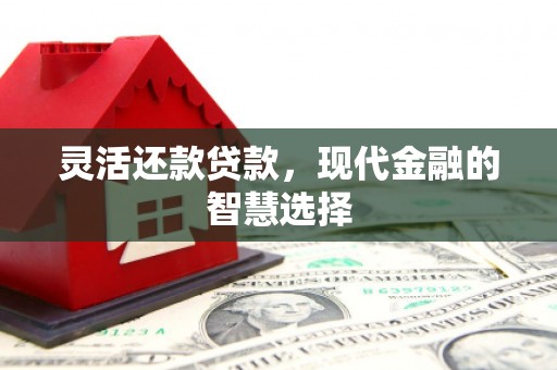 富民灵活还款贷款，现代金融的智慧选择