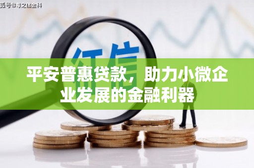 富民平安普惠贷款，助力小微企业发展的金融利器