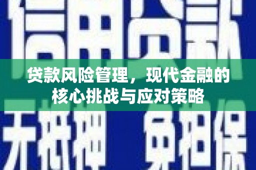 富民贷款风险管理，现代金融的核心挑战与应对策略