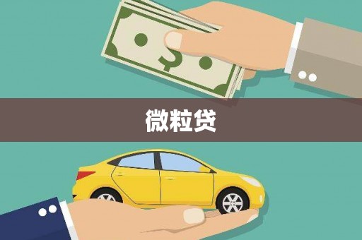 富民微粒贷