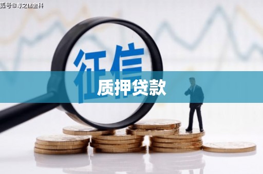 富民质押贷款