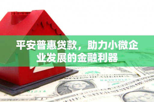 富民平安普惠贷款，助力小微企业发展的金融利器