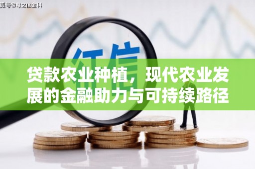 富民贷款农业种植，现代农业发展的金融助力与可持续路径