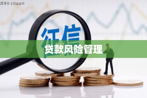 富民贷款风险管理
