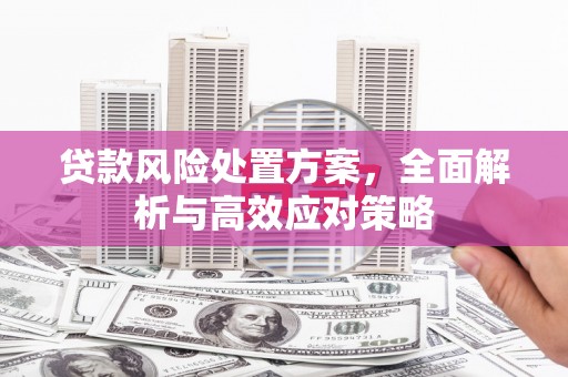 富民贷款风险处置方案，全面解析与高效应对策略