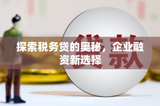 富民探索税务贷的奥秘，企业融资新选择