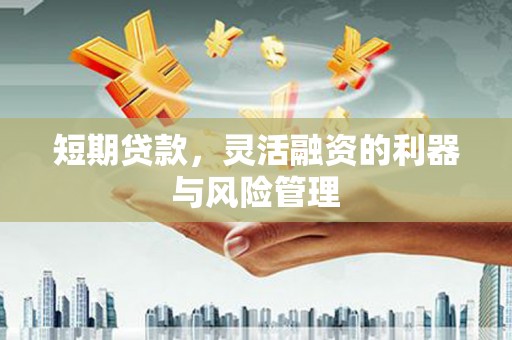 富民短期贷款，灵活融资的利器与风险管理