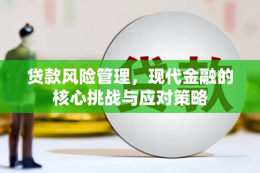 富民贷款风险管理，现代金融的核心挑战与应对策略