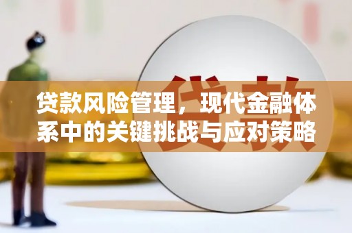 富民贷款风险管理，现代金融体系中的关键挑战与应对策略