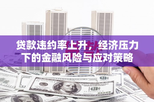 富民贷款违约率上升，经济压力下的金融风险与应对策略