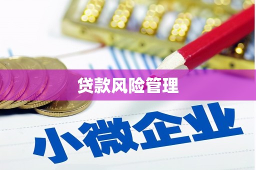 富民贷款风险管理