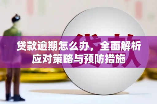富民贷款逾期怎么办，全面解析应对策略与预防措施