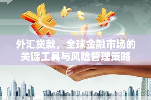富民外汇贷款，全球金融市场的关键工具与风险管理策略