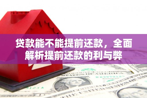 富民贷款能不能提前还款，全面解析提前还款的利与弊