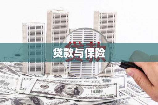 富民贷款与保险