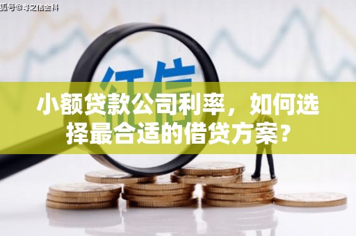 富民小额贷款公司利率，如何选择最合适的借贷方案？