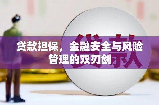 富民贷款担保，金融安全与风险管理的双刃剑