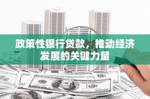 富民政策性银行贷款，推动经济发展的关键力量