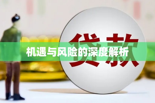 富民机遇与风险的深度解析