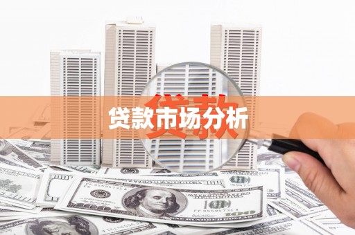 富民贷款市场分析