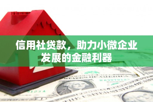 富民信用社贷款，助力小微企业发展的金融利器