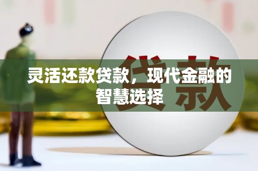 富民灵活还款贷款，现代金融的智慧选择