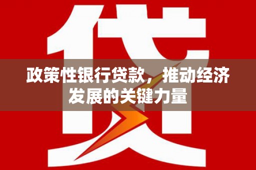 富民政策性银行贷款，推动经济发展的关键力量