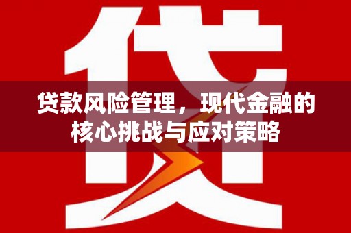 富民贷款风险管理，现代金融的核心挑战与应对策略