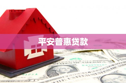 富民平安普惠贷款