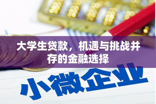 富民大学生贷款，机遇与挑战并存的金融选择