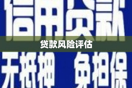 富民贷款风险评估