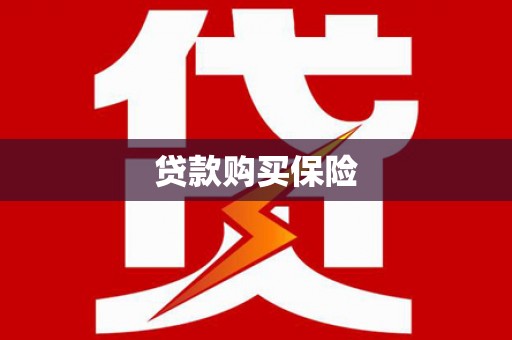 富民贷款购买保险