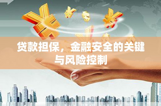 富民贷款担保，金融安全的关键与风险控制