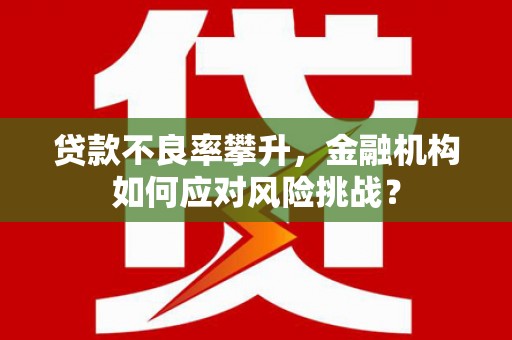 富民贷款不良率攀升，金融机构如何应对风险挑战？