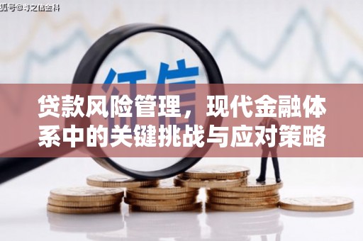 富民贷款风险管理，现代金融体系中的关键挑战与应对策略