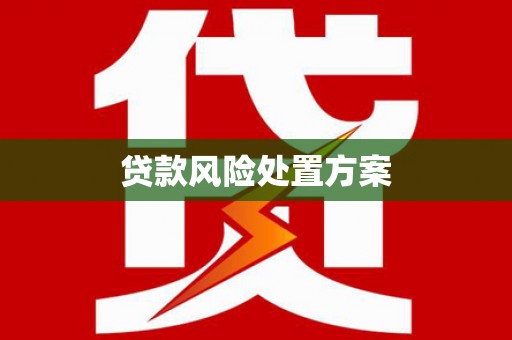 富民贷款风险处置方案