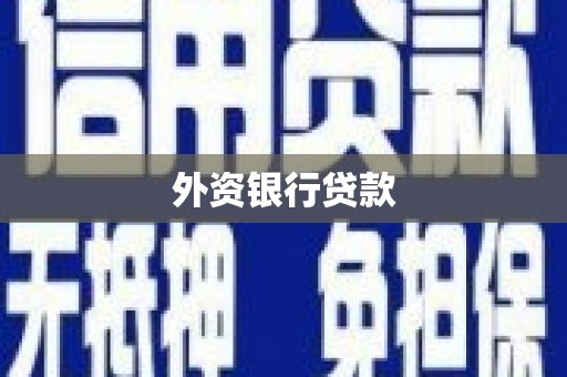 富民外资银行贷款