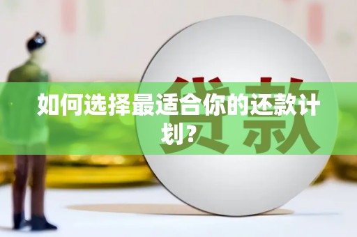 富民如何选择最适合你的还款计划？