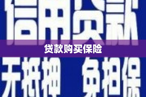富民贷款购买保险
