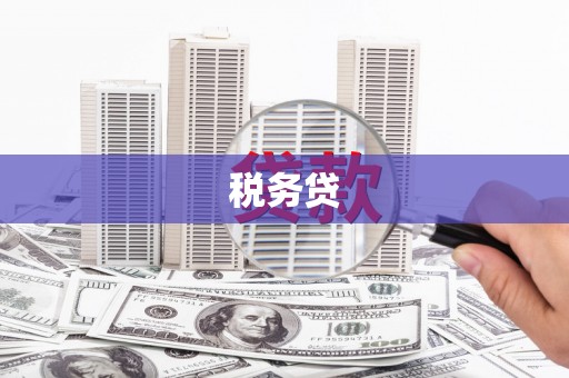 富民税务贷